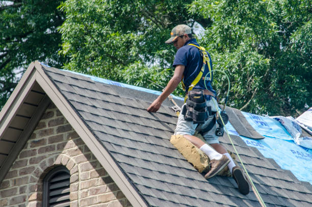 Best Roof Repair Services  in West Monroe, LA